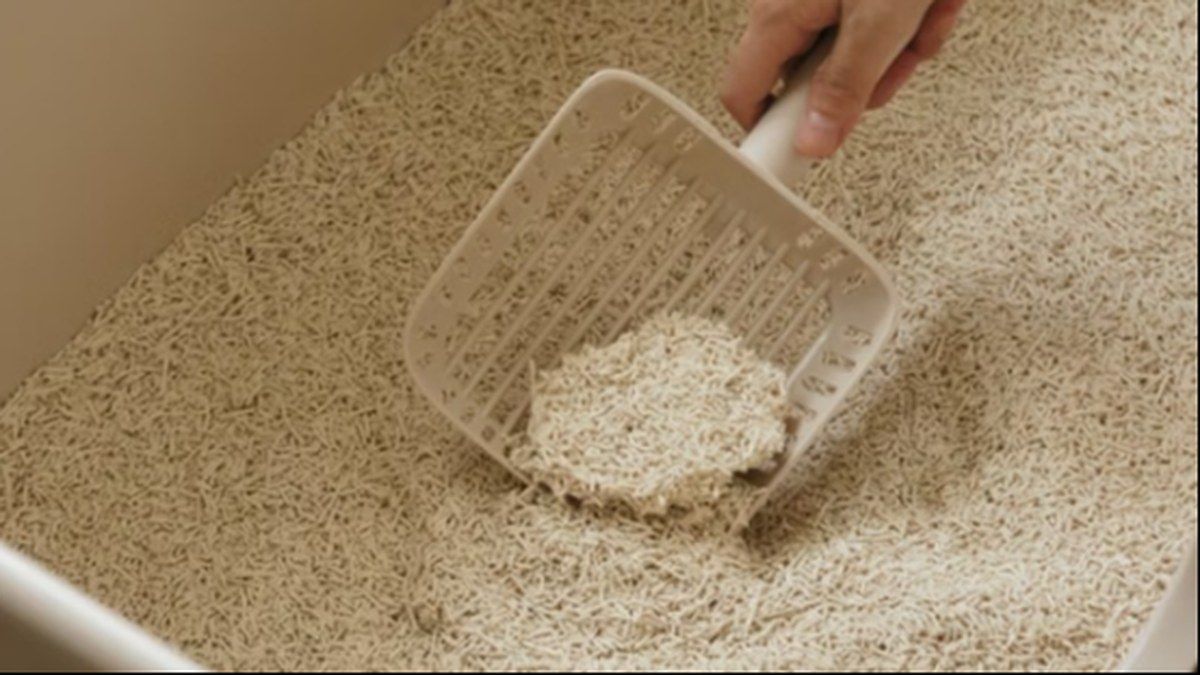 Natural tofu cat litter - food-grade pea fiber pellets with scoop, China OEM